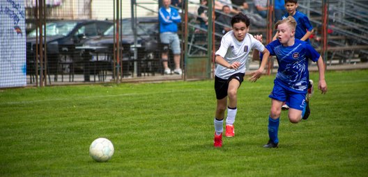 Large_img_5490